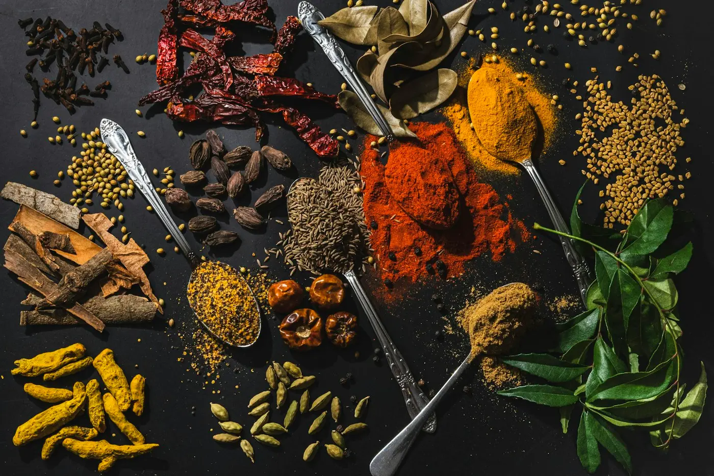 Ayurveda in Berlin: Doshas, Behandlung & Erstgespräch
